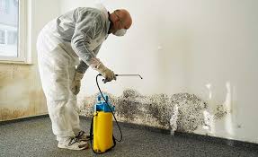 Best Mold Damage Restoration  in Tappan, NY