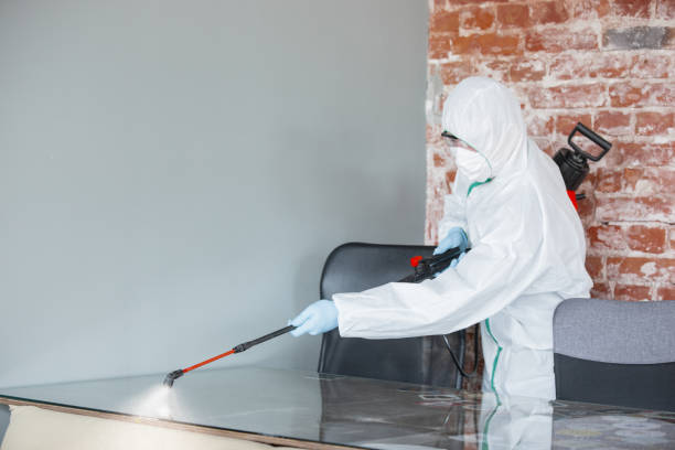  Tappan, NY Mold Removal & Remediation Pros