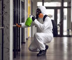 Best Comprehensive Air Testing for Mold Contaminants  in Tappan, NY